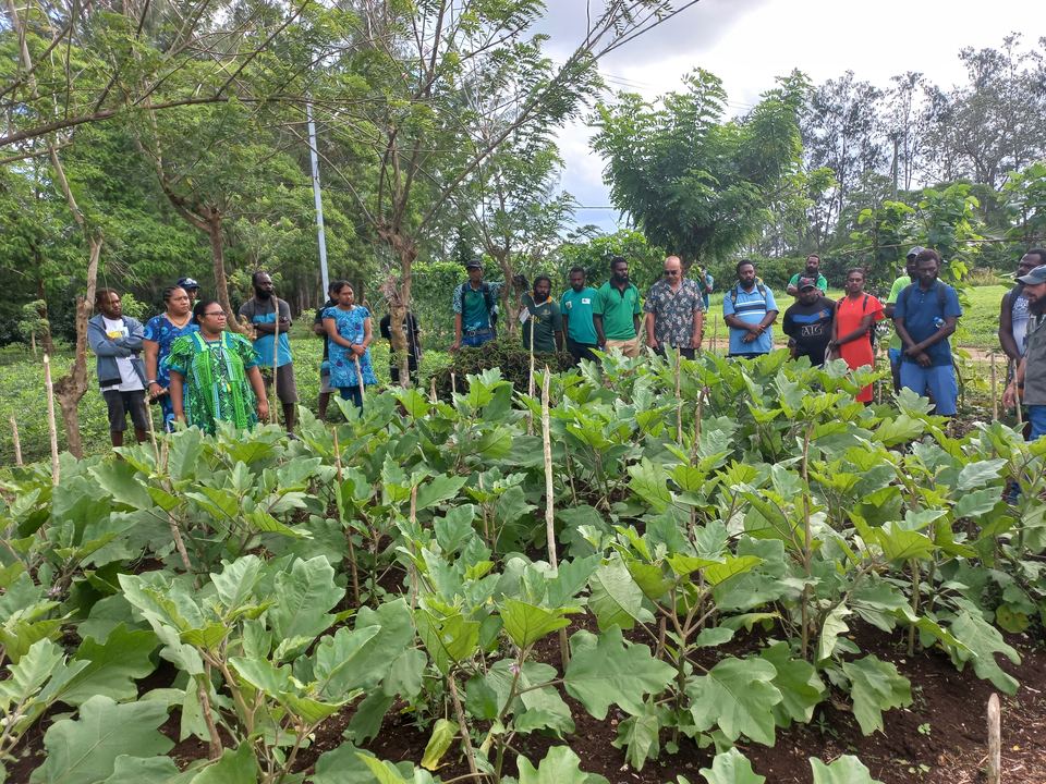 Seed champions training at VARTC, August 2023: participants among leafy crop seed plots